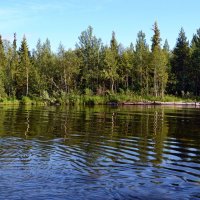 По рекам Заполярья :: Ольга 