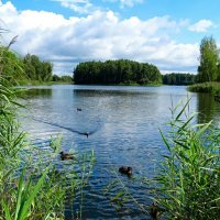 В последний день июля (репортаж из поездок по области). :: Милешкин Владимир Алексеевич 