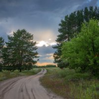 Дорога... :: Влад Никишин