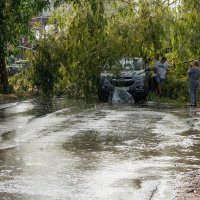 Обещали слабый дождь, а случился тропический ливень с сильным ветром :: Игорь Сикорский