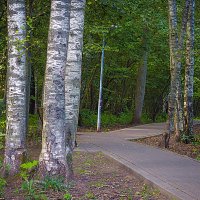 Перекрёсток :: Владимир Кроливец