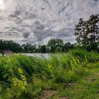 На озере в июле... :: Николай Гирш