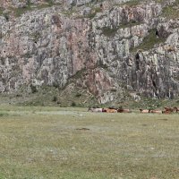 Встречи в горах :: Ольга 