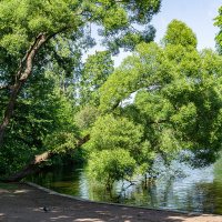 В парке :: Ирина Соловьёва