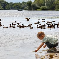 Познание природы. :: Татьяна Бравая