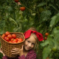 большой урожай) :: Юлия Поплевченкова