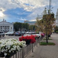 Первые признаки осени (31.07.2024 г.) :: Татьяна Машошина