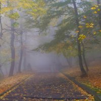 В осеннем парке..... :: Юрий Цыплятников