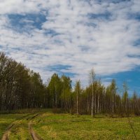 Апрель. :: Андрей Андрианов