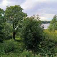 По тропинке вдоль Невы... :: Мария Васильева