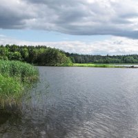 Бухта Большая Пихтовая :: Александр Ильчевский 