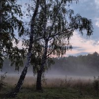 Вечерний туман :: Валентина Богатко 