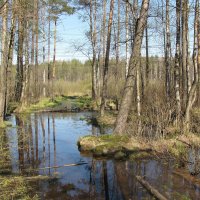 Не пройти :: Александр Ильчевский 