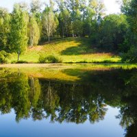 Уголок Смоленской природы (репортаж из поездок по области). :: Милешкин Владимир Алексеевич 