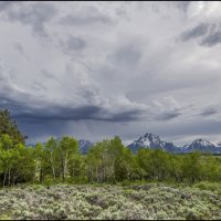 Национальный парк Grand Teton :: **** vedin