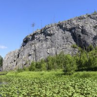 На реке Сев. Тошемка :: Галина Ильясова