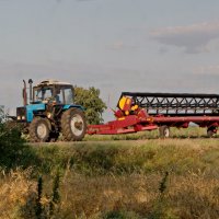 Машинно-тракторный агрегат(МТА). :: сергей 