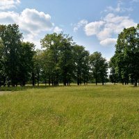 Канаш. Поляна Городского парка. :: Пётр Чернега