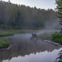 Утро на речке Ведречинка :: Людмила Баймухаметова