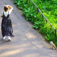 А кому - кошечки... :: Юрий Куликов