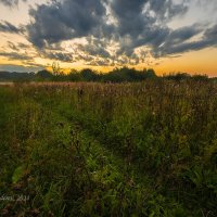 Вечер в августе :: Александр Синдерёв