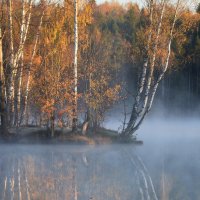 Утром туманным...... :: Юрий Цыплятников