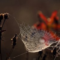 Утро 10 сентября в Царицыне :: Михаил Бибичков