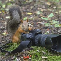 Фотосессия :: Михаил Измайлов