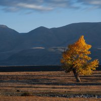 * :: Александр Иванов