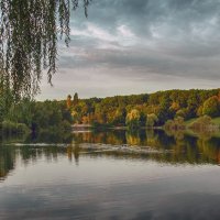 Утро на озере :: Андроник Александр 