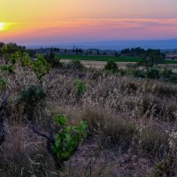 Пейзаж в департаменте Од (Aude) :: Георгий А