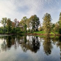 Осень :: Сапсан 