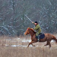 О какзаках :: Пасечник 