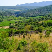 Пейзаж в департаменте Од (Aude) :: Георгий А