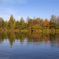 Осень — это все цвета светофора на Чёрном озере :: Анастасия Северюхина