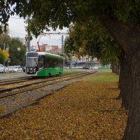 будни большого города, а уже осень :: Николай Иванович Щенов