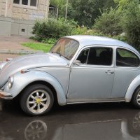 Volkswagen Beetle :: Дмитрий Никитин