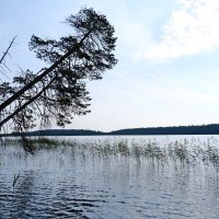 Карельская графика :: Андрей Зайцев