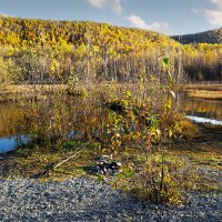 Золото осени :: Людмила Фил