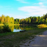 Осень (репортаж из поездок по области. :: Милешкин Владимир Алексеевич 