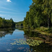 *** :: Дмитрий Лупандин