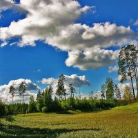 Августовский пейзаж на Сыром Агане! :: Владимир 