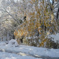 Осенним утром..... :: Юрий Цыплятников