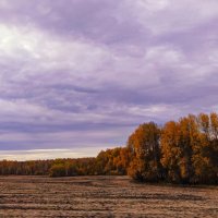 "Уж небо осенью дышало..." :: Любовь Сахарова