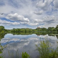 В тишине парка :: Любовь Р