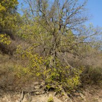 Красноусольск :: Дарья Рогозина