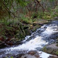 Карельские водопады . :: Татьяна 