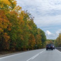 По Дальневосточным дорогам. :: Виктор Иванович Чернюк