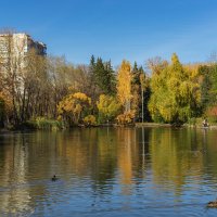 Фото. 2.10.2024.Екатеринбург.Золотая осень в Дендрарии на улице Мира.jpeg :: Михаил Пименов