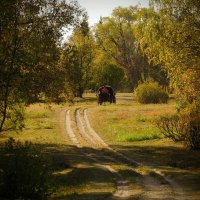 Тарханы :: Пасечник 